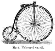 Fig. 1. Welocyped wysoki (10 KB)