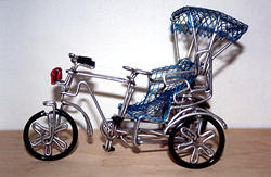 Riksza rowerowa z Delhi (12 KB)