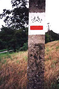Szlak w Posadowie, ok. 100 km na północny zachod od Poznania - fot. Łukasz Zieliński (16 KB)